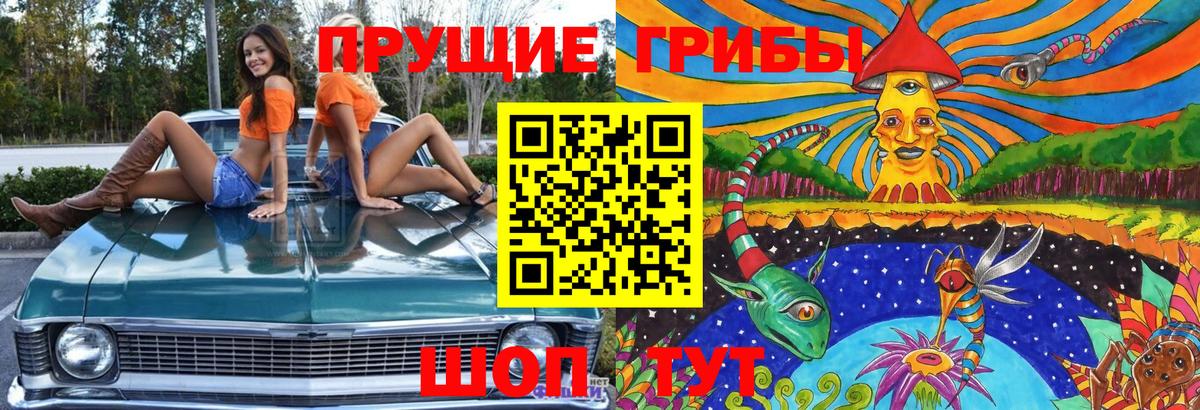 Галлюциногенные грибы ЛСД Вичуга