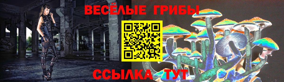 Псилоцибиновые грибы прущие грибы  Псилоцибиновые грибы GOLDEN TEACHER  Вичуга  Вход с VPN 